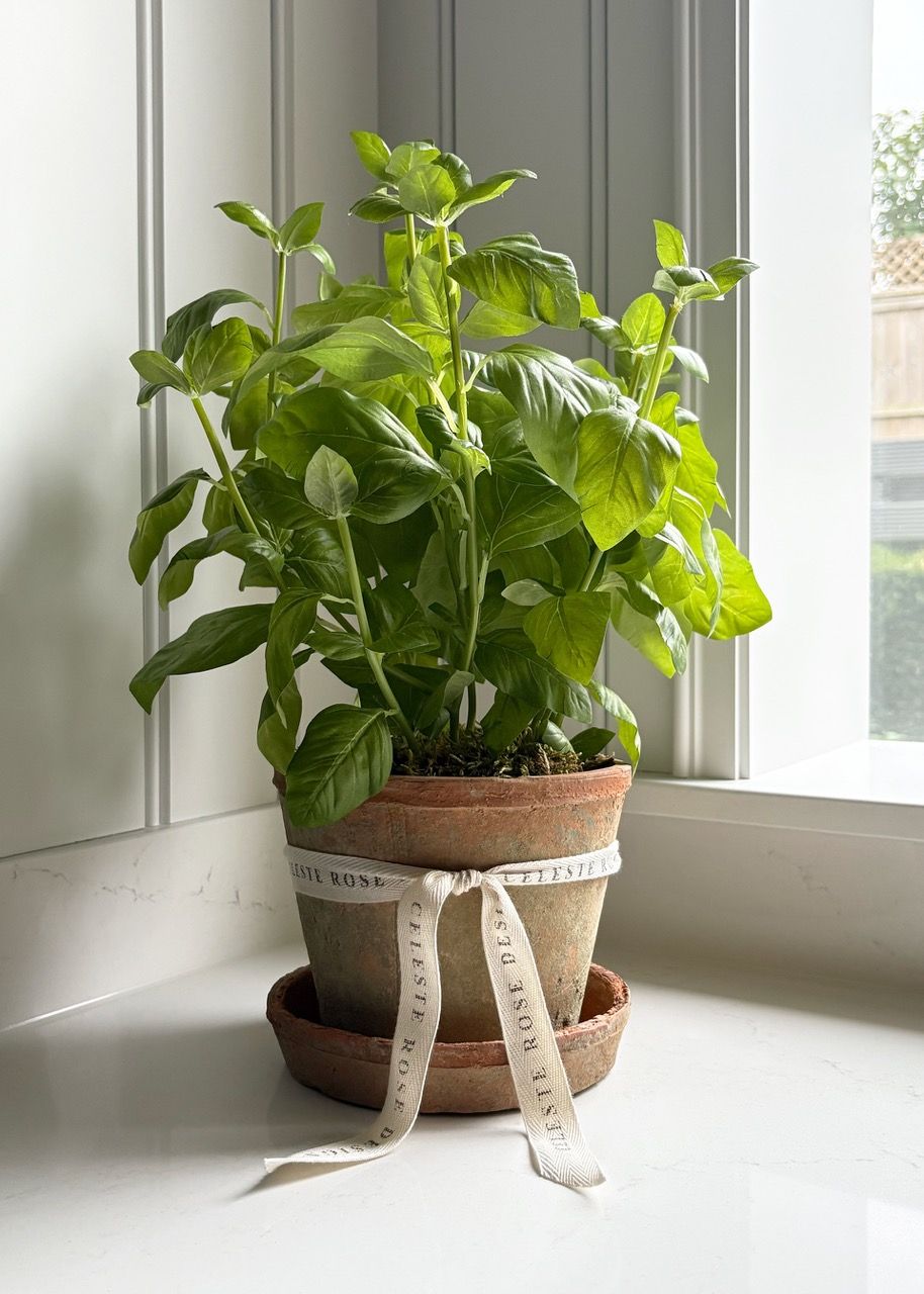Celeste Rose Basil Pot - Image 1