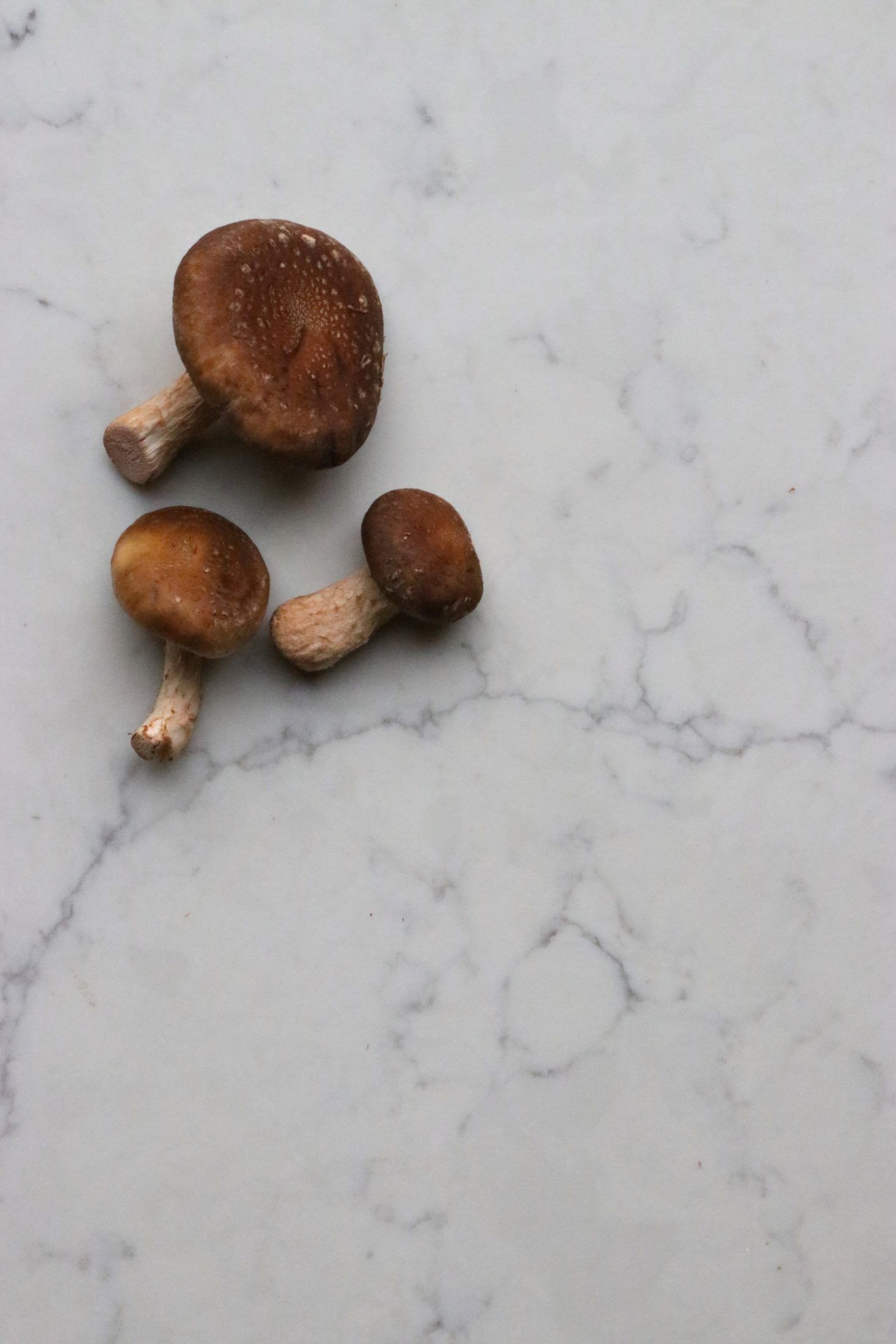 Recipe Notes | Baked Mushroom Risotto - Humphrey Munson Blog