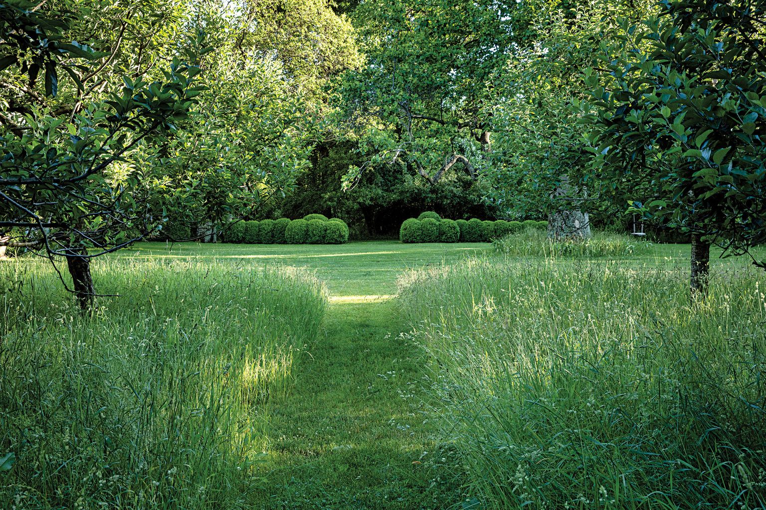 The Wild Garden, Long Island NY | by Miranda Brooks