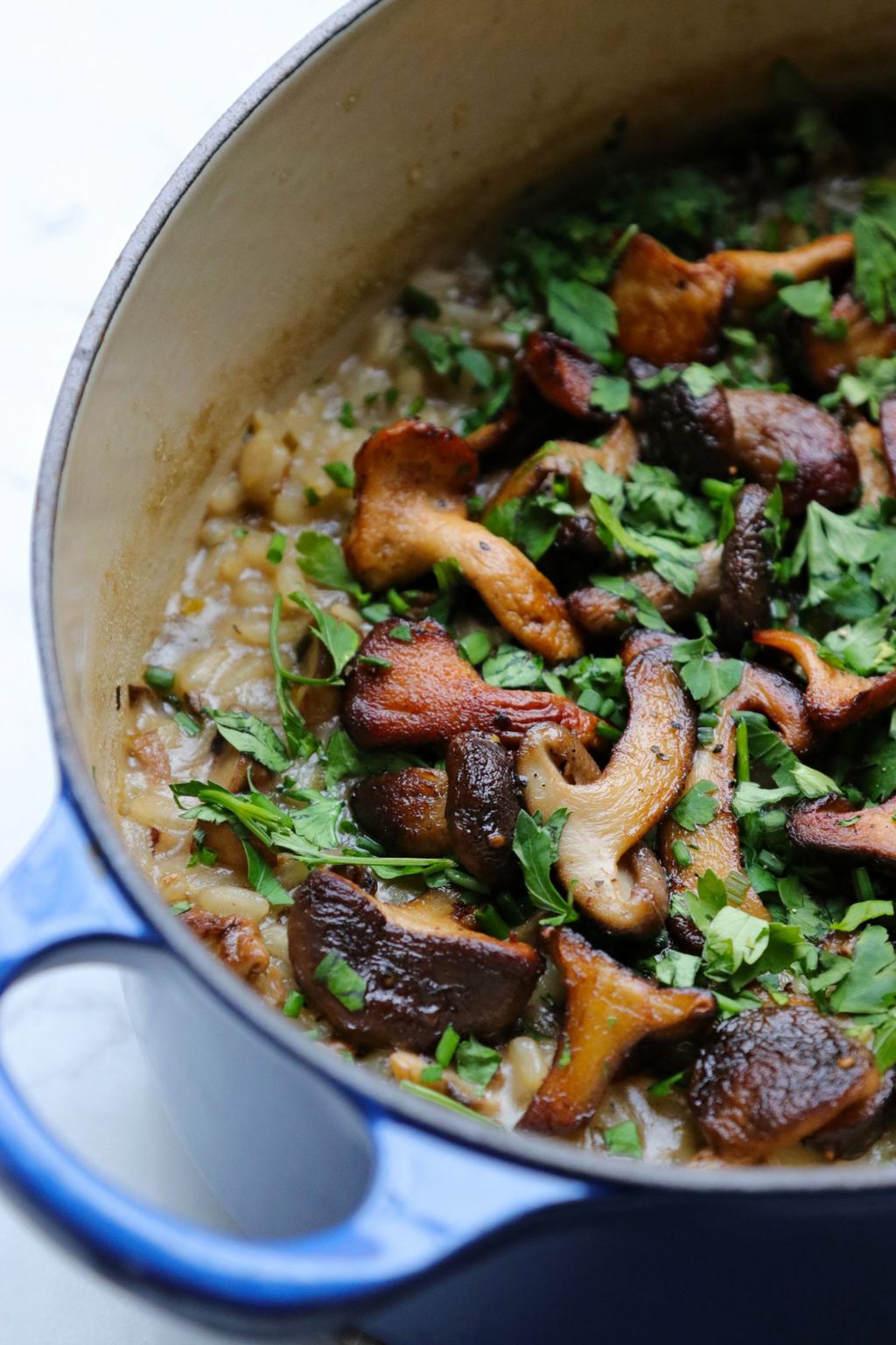 Recipe Notes | Baked Wild Mushroom Risotto