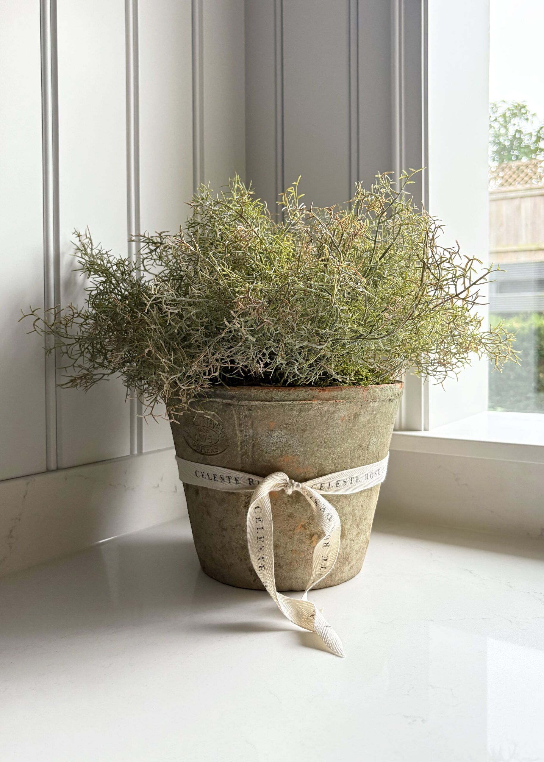 Celeste Rose Moss Pot - Image 1