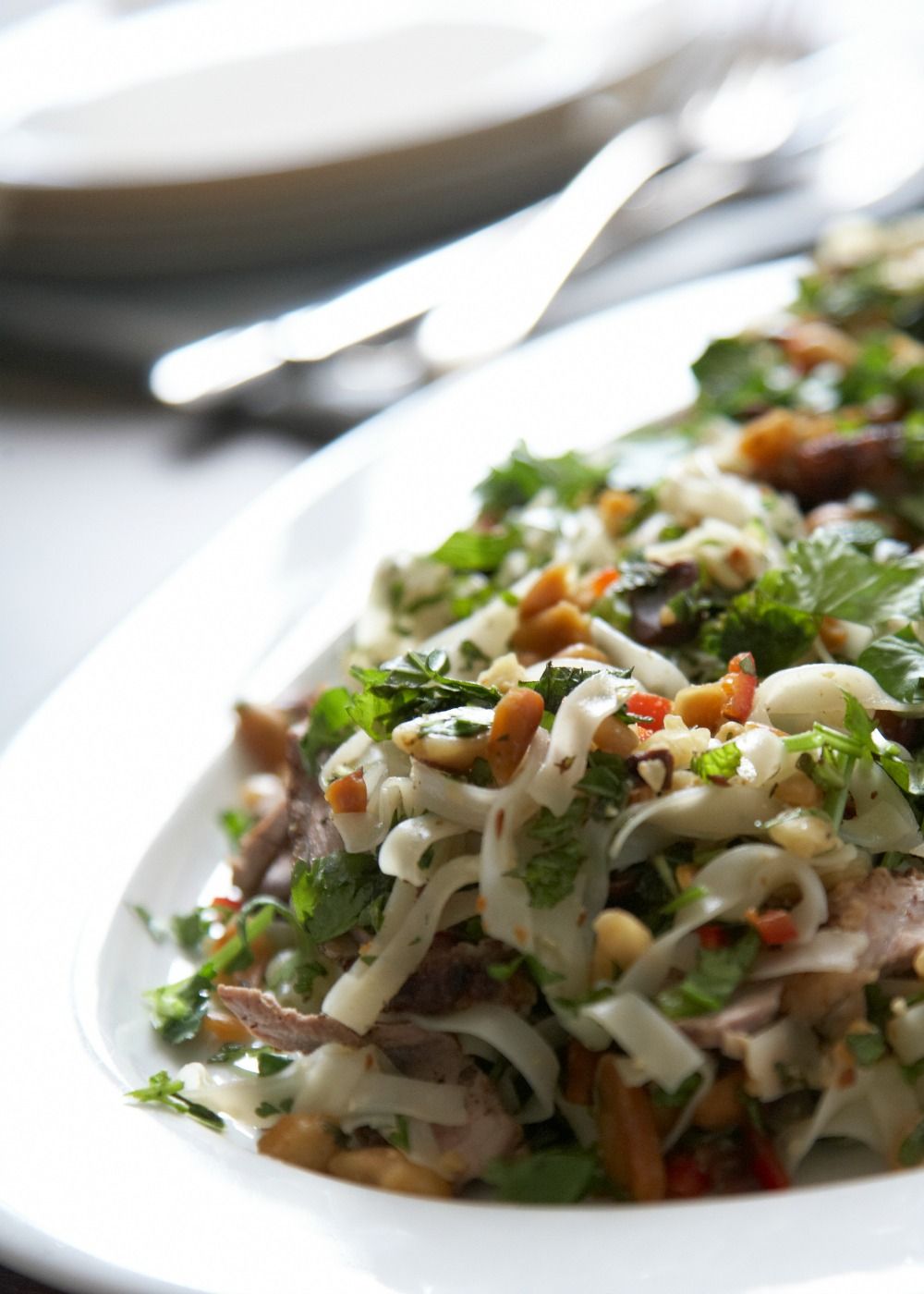 Crispy Duck Noodle Salad - Humphrey Munson Blog 1.1