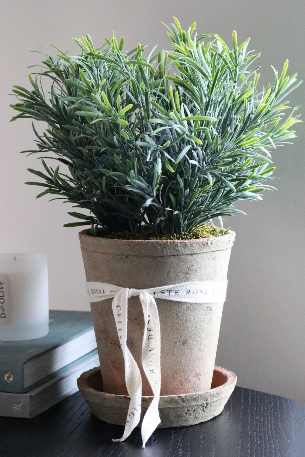 Celeste Rose Rosemary Pot - Image 2