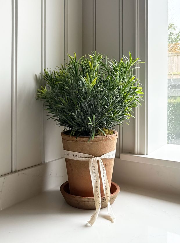 Celeste Rose Rosemary Pot