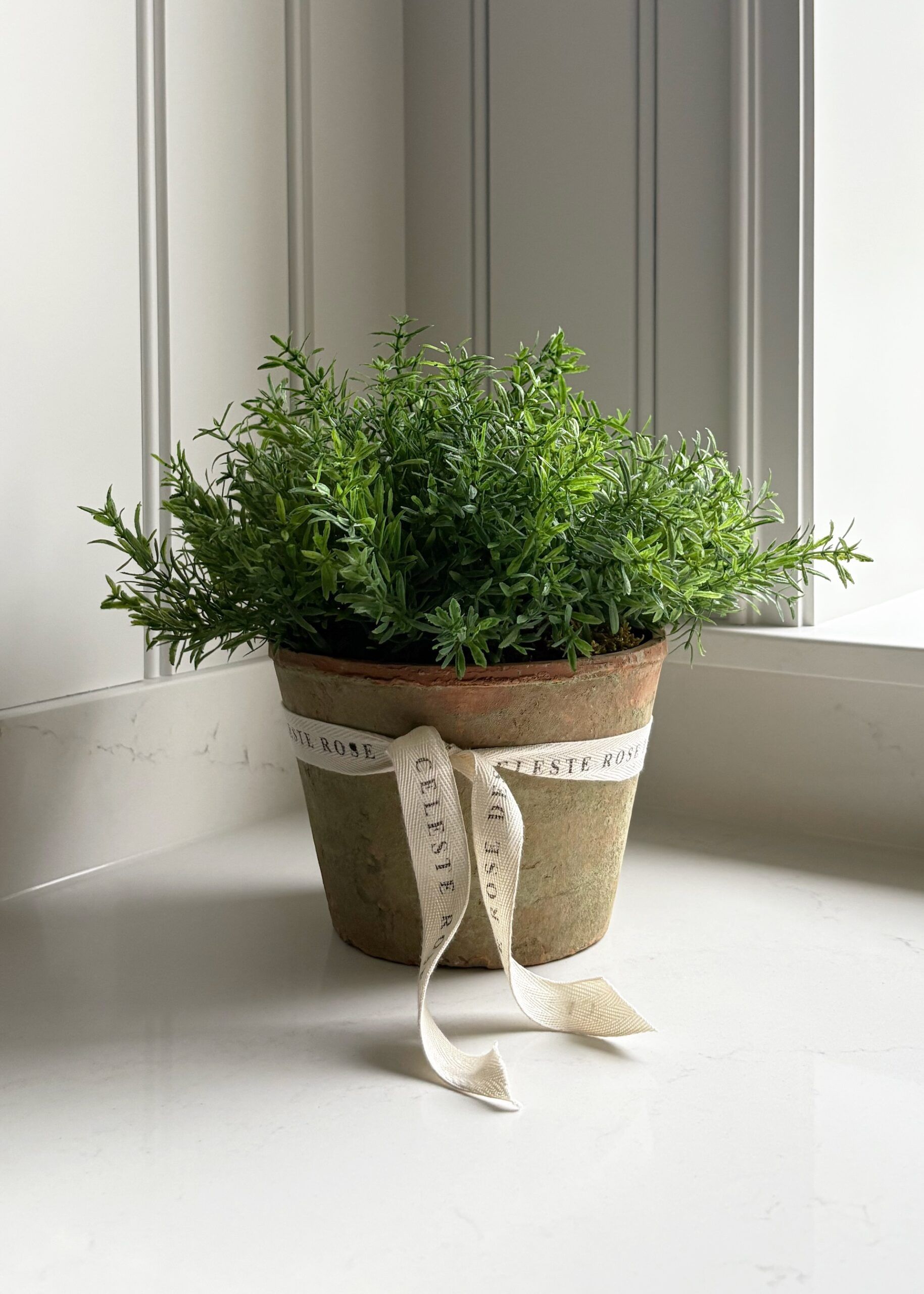 Celeste Rose Thyme Pot - Image 1
