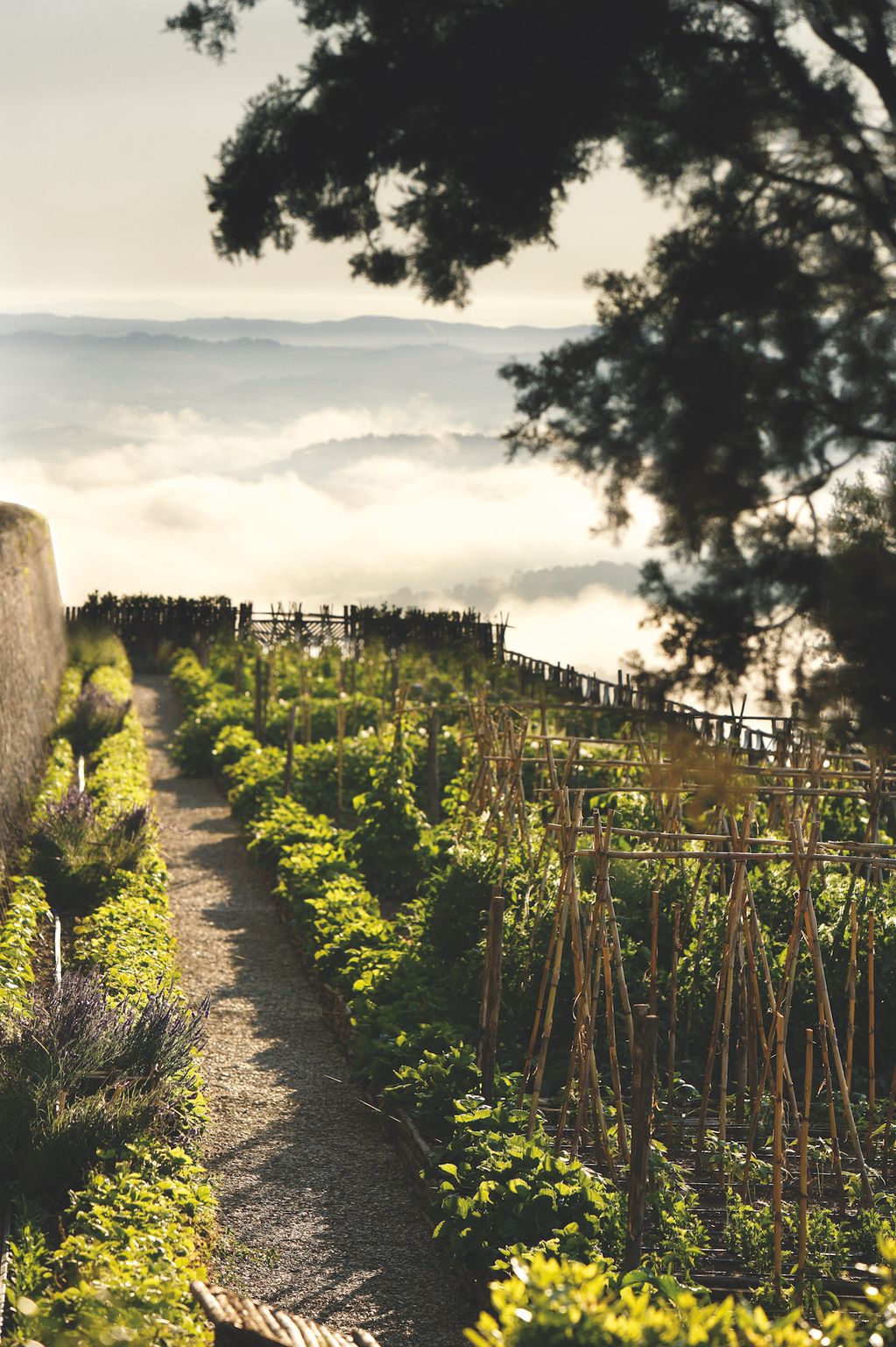 Castiglion del Bosco | A Tuscan Retreat