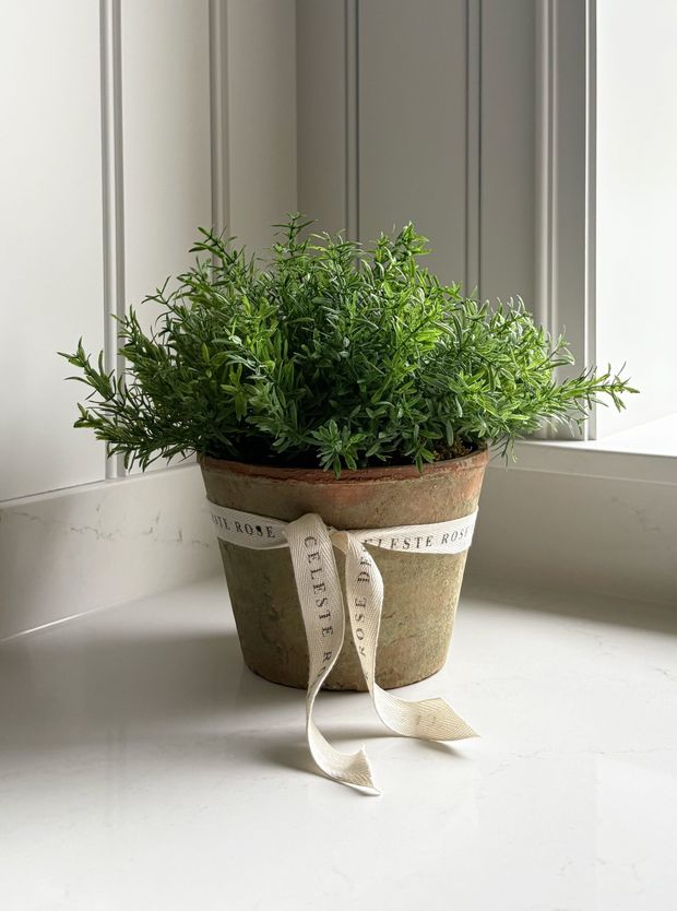 Celeste Rose Thyme Pot