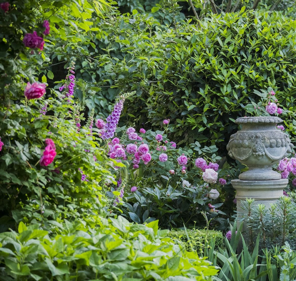 Five Inspiring Garden Designs | In & Around London