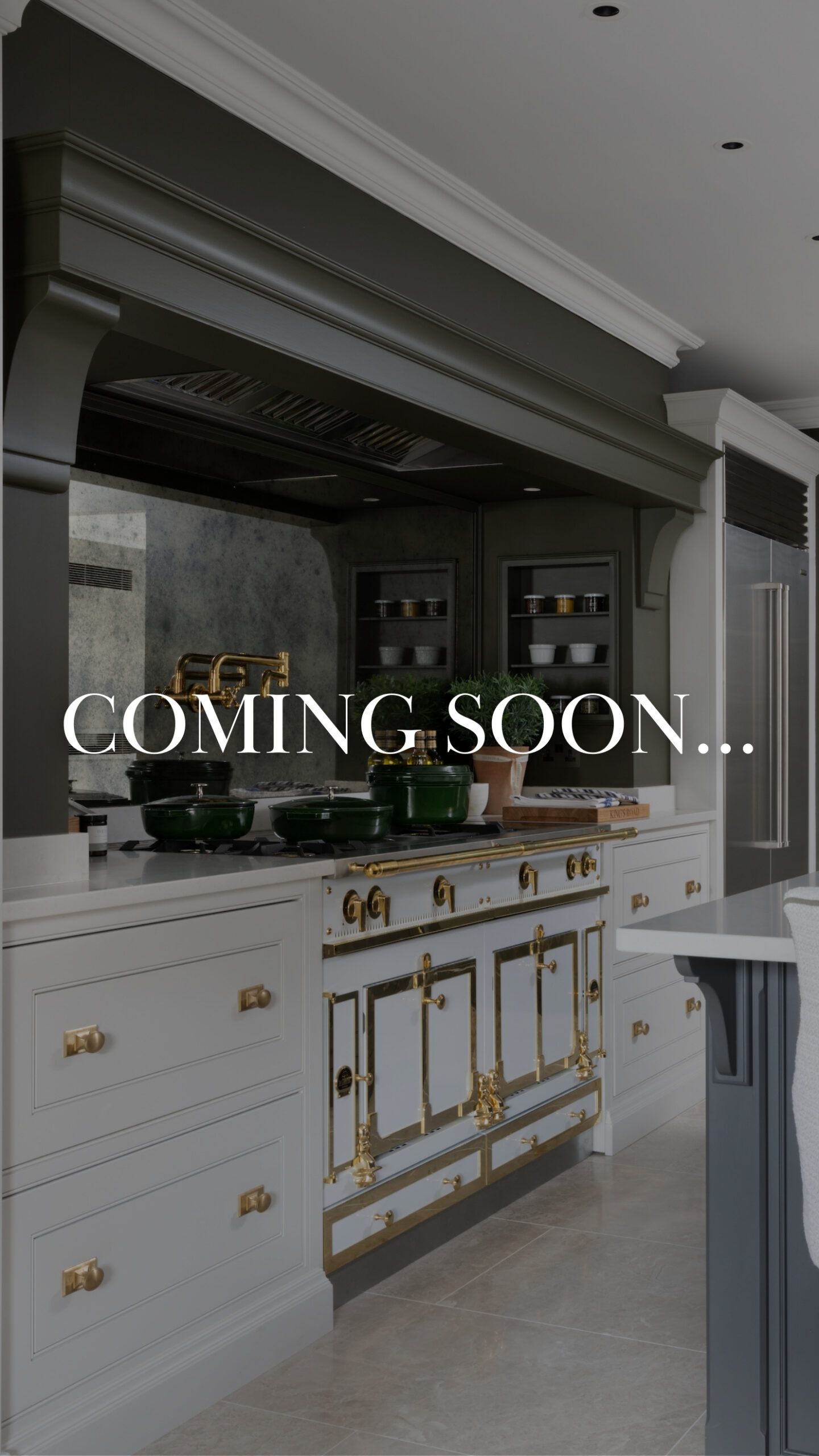 03/ CDQ Autumn Edit - Image 1