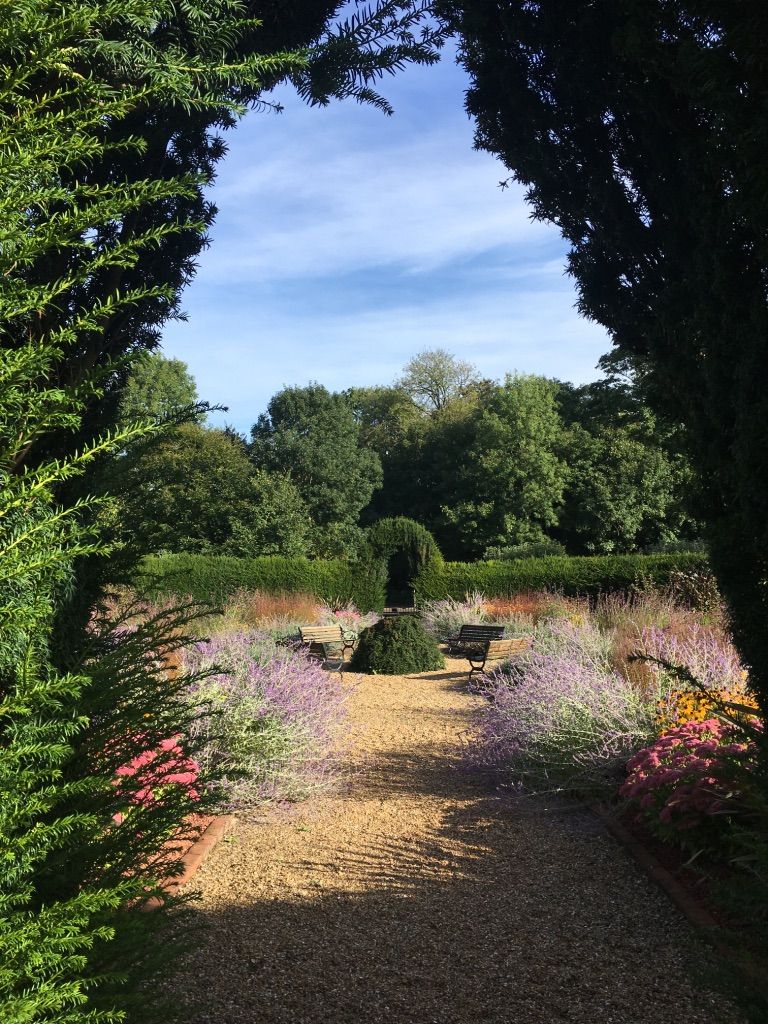 Cooking with Gaggenau | Season Cookery School at Lainston House