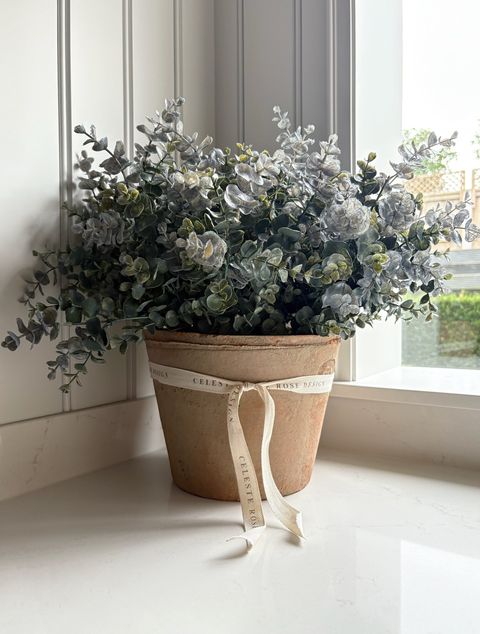 Celeste Rose Eucalyptus Pot